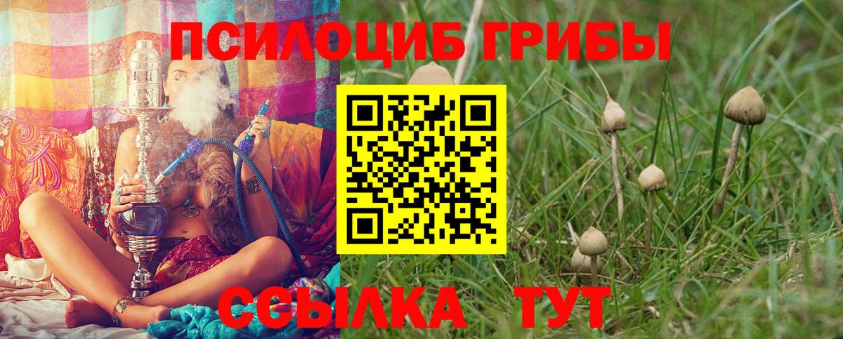 Псилоцибиновые грибы Magic Shrooms Бирск