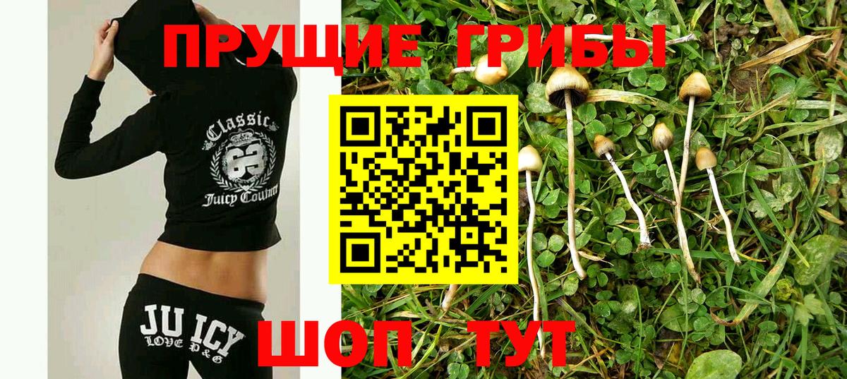 наркошоп  Вход с VPN  Бирск  Псилоцибиновые грибы Psilocybe 